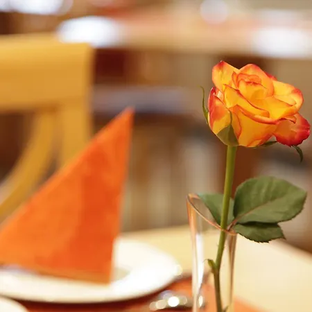 City-hotel Garni ホテル