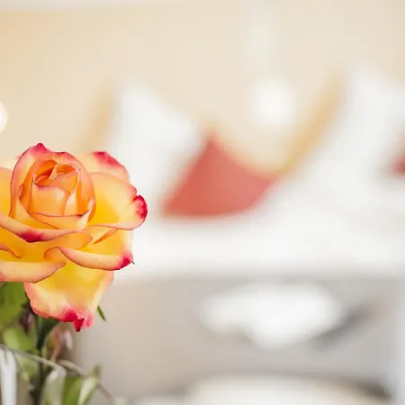 City-hotel Garni 3*